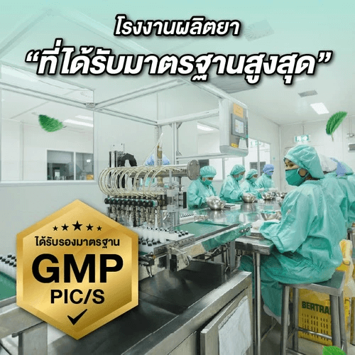 ยาดม เป๊ปเปอร์มิ้นท์ ฟิลด์ กลิ่นออริจินอล ขนาด 2 ซีซี จำนวน 24 ชิ้น_5